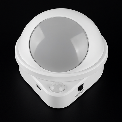 Smart Sense Motion Light